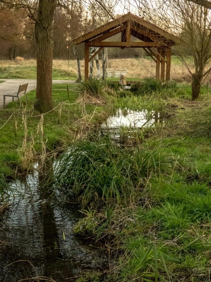 Le Domaine Des Droles De Dames Guest House Buding Exterior foto